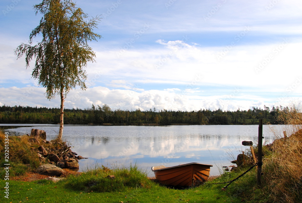 Idyllic view of a lake  in Smaland, Sweden against a woodland shore and  a blue sky with white clouds that are reflected in the water and a rowing boat and birch tree on the shore in front