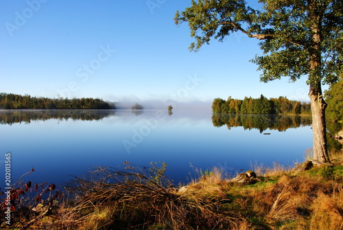 Idyllic view of morning fog on a lake in Smaland, Sweden, against a clear blue sky with a woodland shore in front and in the background, that is reflected in the water photo