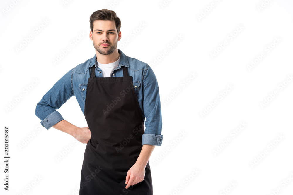 portrait of young bearded waiter in apron standing akimbo isolated on white portrait of young bearded waiter in apron standing akimbo isolated on white