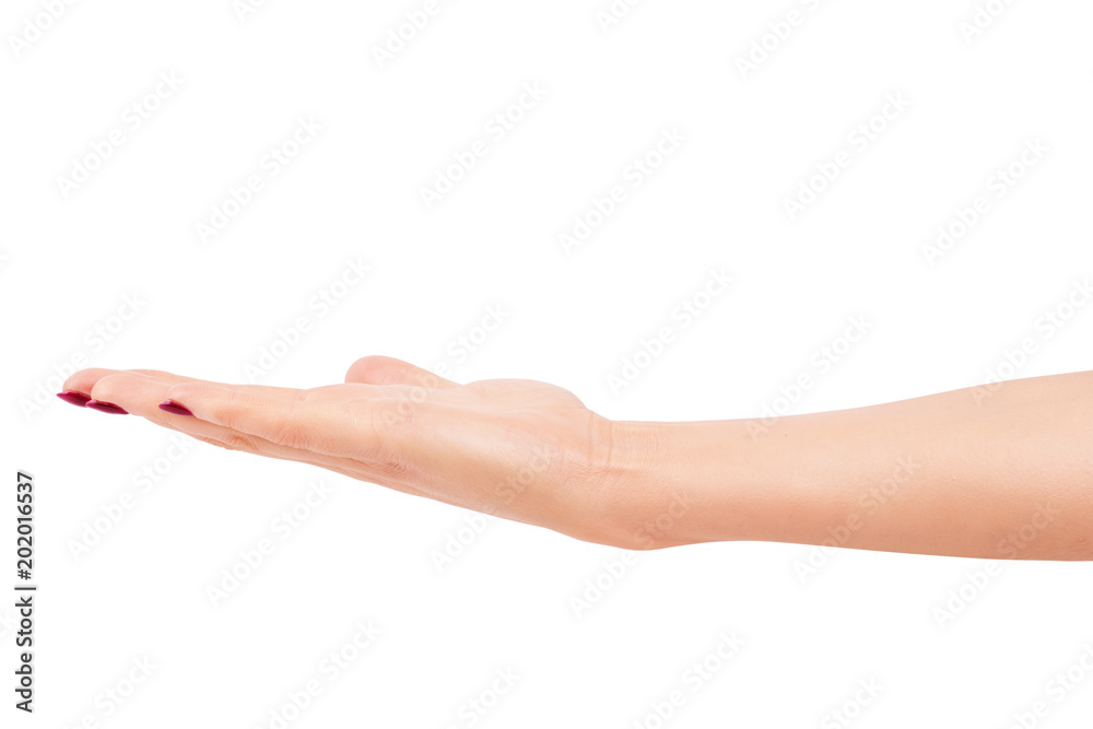 Woman's hands with neat manicure. Isolated on white background.