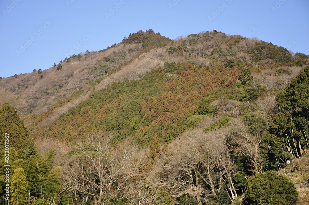 鐘ヶ嶽 鐘ヶ嶽