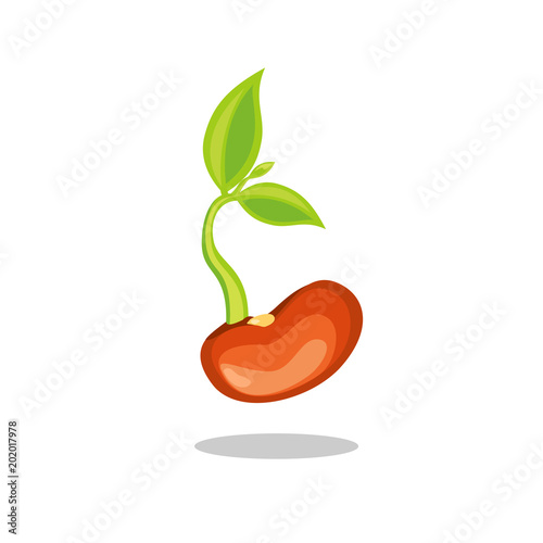 Simple sprouting seed drawing. Green cartoon sprout.