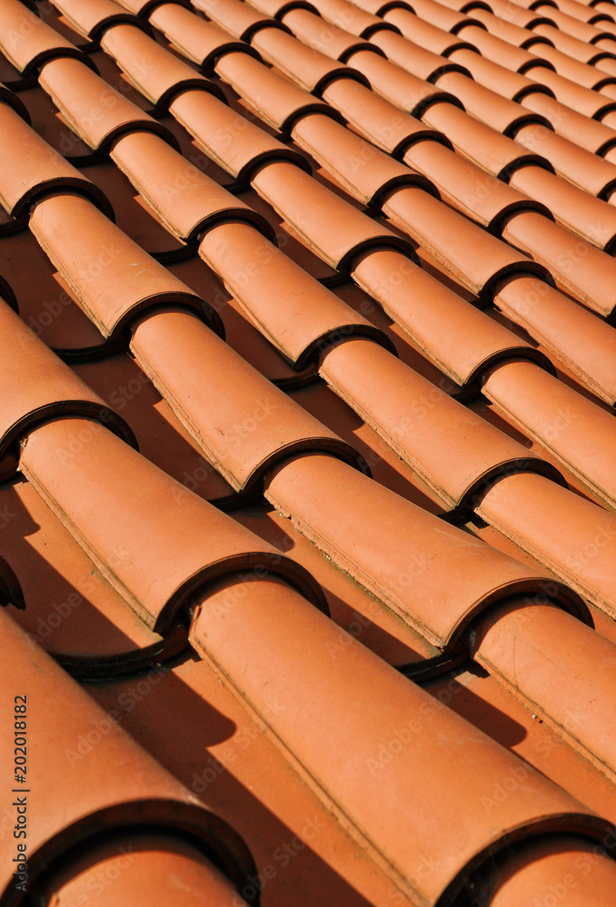 Red pantiles on roof Red pantiles on roof