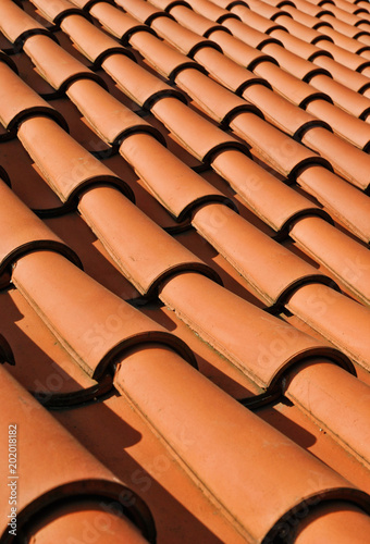 Red pantiles on roof 