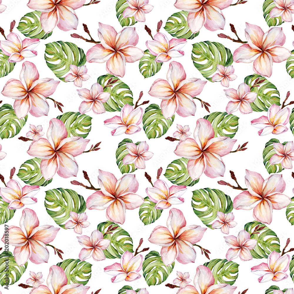 Exotic plumeria flowers and green monstera leaves in seamless tropical pattern. White background. Watercolor painting. Hand painted floral illustration.
