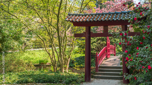 Japanese Garden Spring