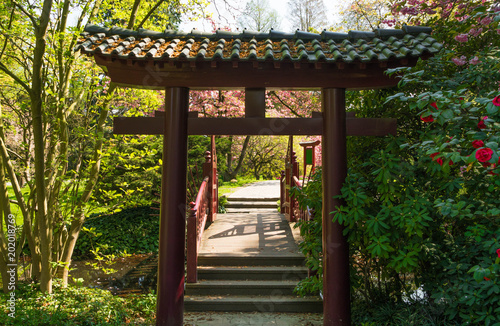 Japanese Garden Spring