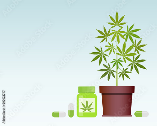 Bottle with medical marijuana and Medical cannabis pills. Bottle mock up. Vector illustration with copy space.