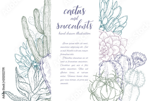 Sketch linear cactus ans succulents