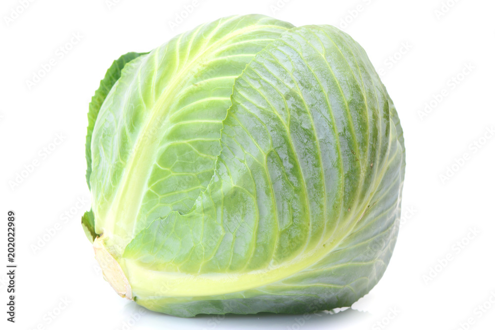 Fototapeta premium Fresh cabbage