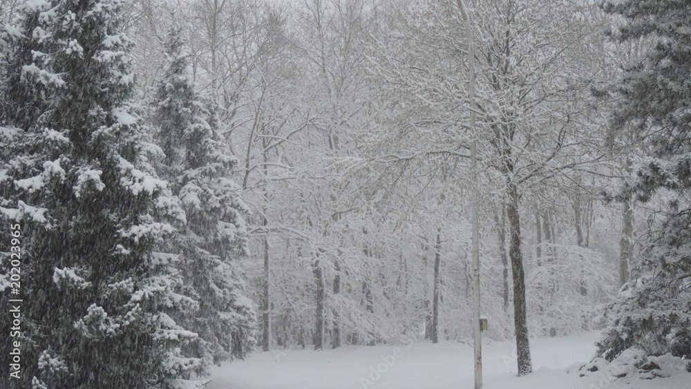 Winterlandschaft 1 Winterlandschaft 1