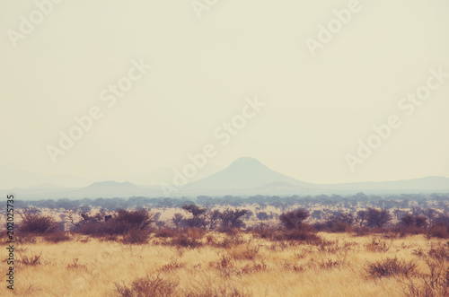 Namib landscapes