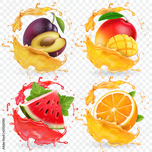 Orange, watermelon, plum and mango juice splashes Fresh fruits vector icon set