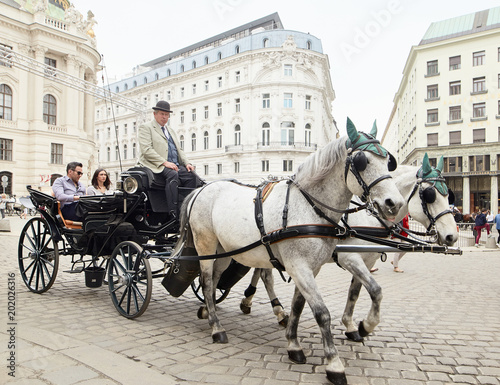 Photography Vienna, Austria - 15 April 2018: a cab driver in a carriage with two horses drives tourists around the city