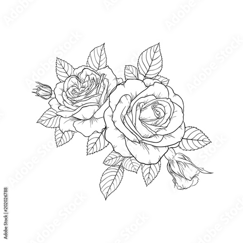 beautiful black and white bouquet rose and leaves. Floral arrangement isolated on background. design greeting card and invitation of the wedding, birthday, Valentine s Day, mother s day, holiday