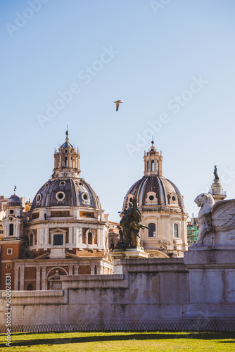 bird flying near Santa Maria di Loreto (St Maria of Loreto) church in Rome, Italy