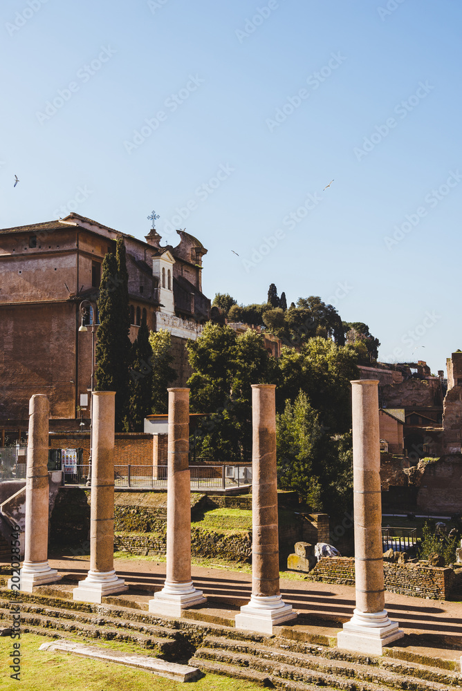 columns at Roman Forum ruins in Rome, Italy