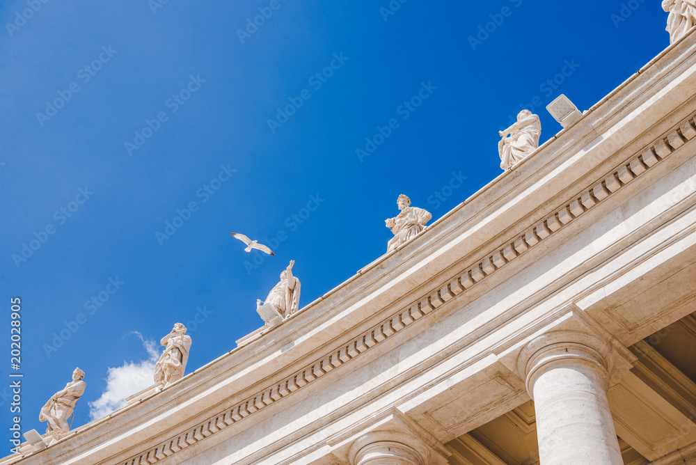 Fototapeta premium bottom view of bird flying above statues at St Peters Square in Vatican, Italy