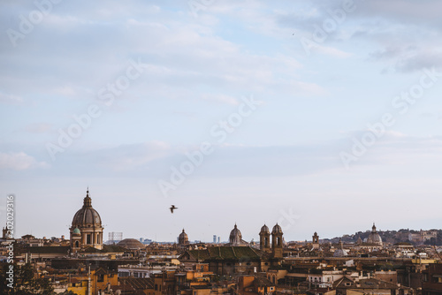 bird flying above of St Peters Basilica in Rome, Italy