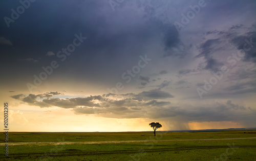 Landschaft mit dramatischen Regenwolken und Sonnenuntergang in Kenia © Martina Schikore