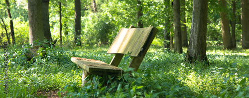 Foto Bank im Waldfriedhof