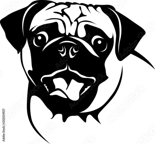 Crazy Pug - Verrückter Mops