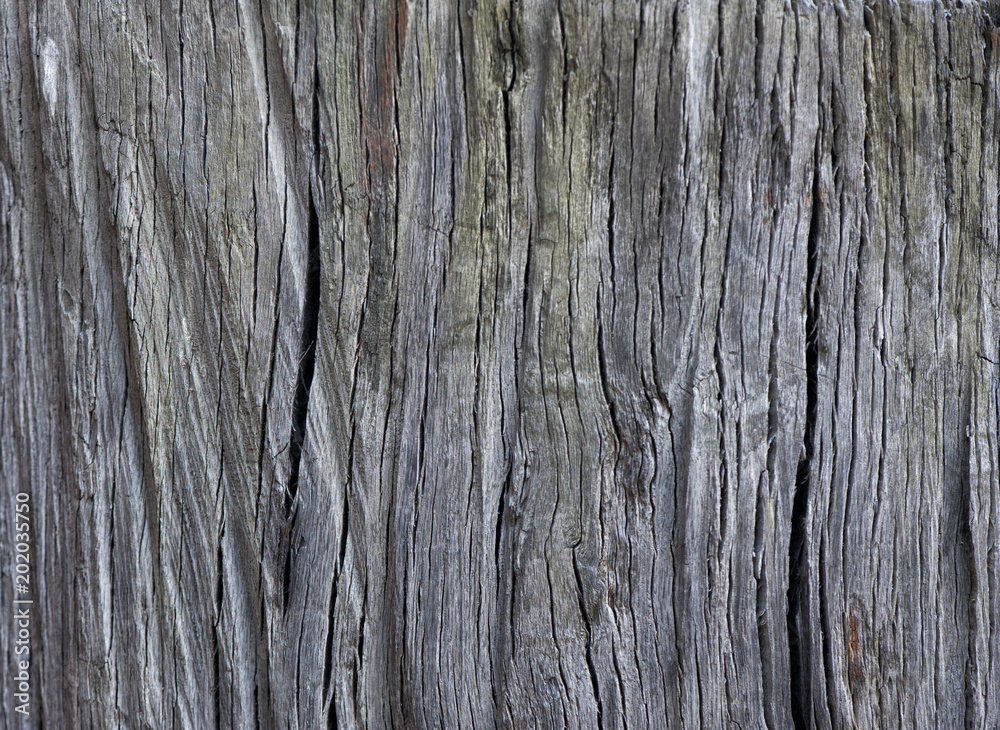 Patterns showing the structure of wooden boards Patterns showing the structure of wooden boards