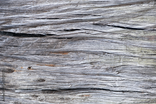 Patterns showing the structure of wooden boards