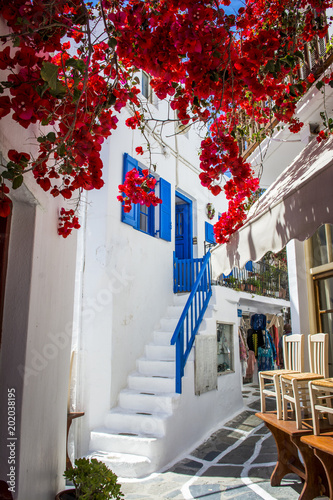 Fototapeta Naklejka Na Ścianę i Meble -  Mykonos, Greece