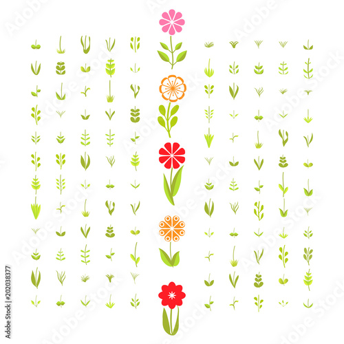 The designer of flowers. A large set of simple elements of leaves and flowers branches on a white background. Stylized summer or spring flowers, floral design elements. Vector illustration