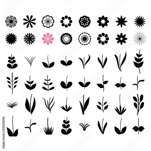The designer of flowers. A set of simple elements, Vector illustration