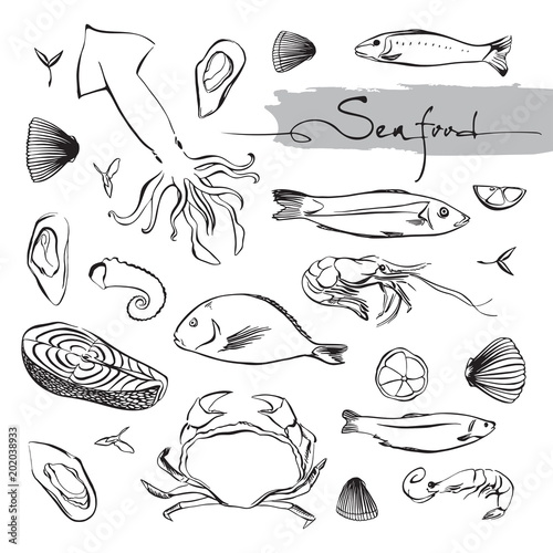 Set of marine life animals. Seafood doodle elements. Hand drawn vector illustration.