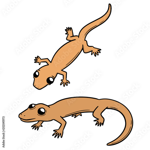 Obraz na plátně vector set of lizards