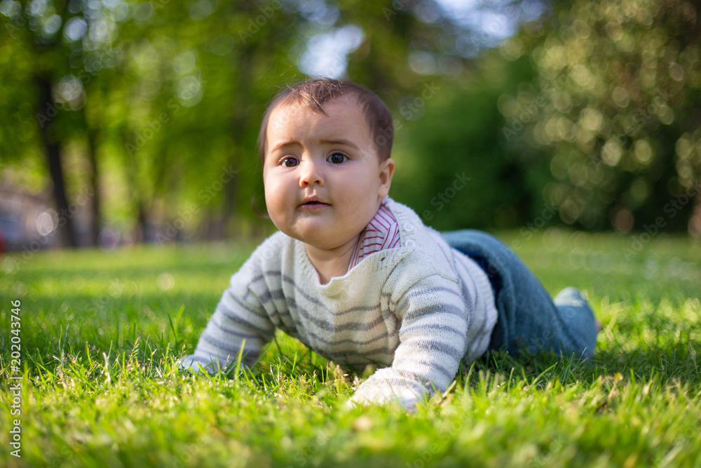 baby carwling in the grass baby carwling in the grass