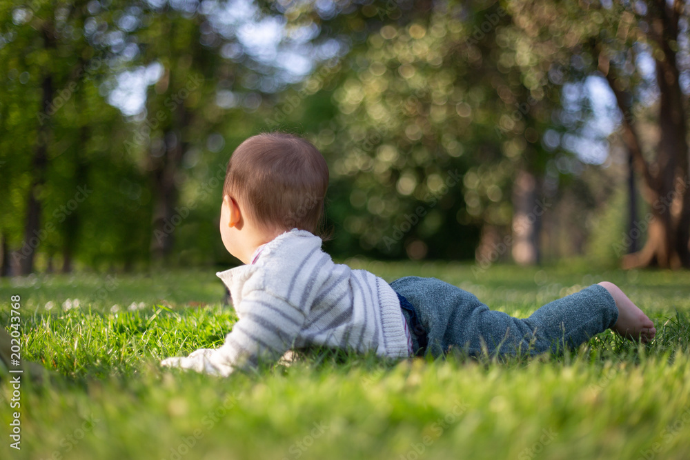 baby carwling in the grass