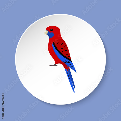 Rosella parrot icon in flat style