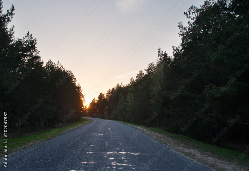 Fototapeta premium Sunset on a forest road,
