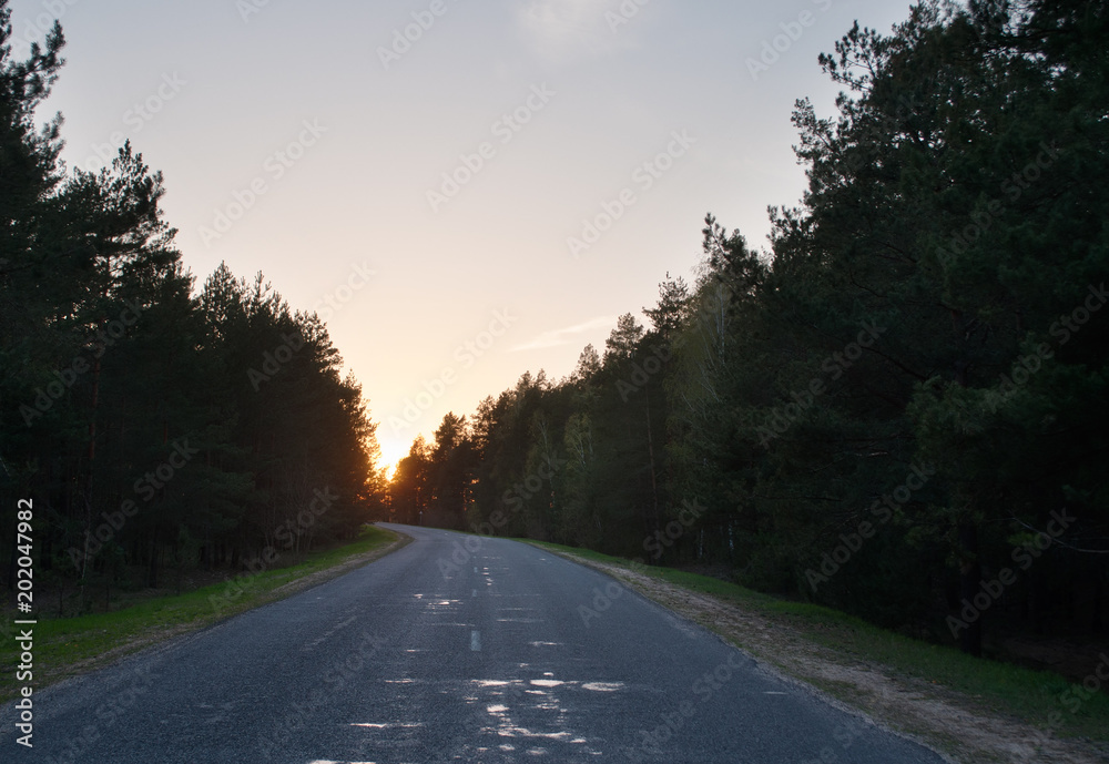 Sunset on a forest road,