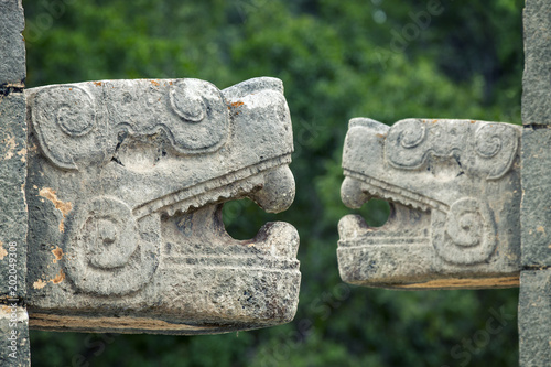 Two Mayan animal head stone carvings green background