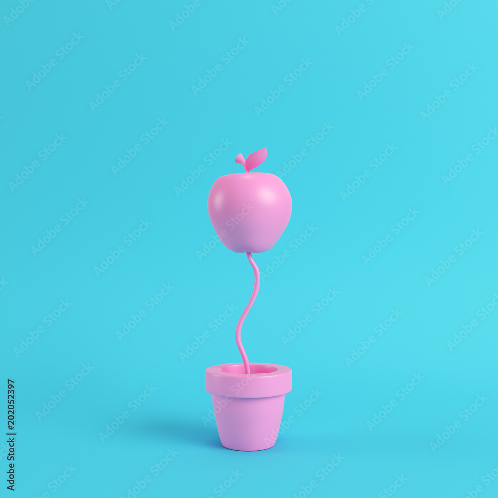 Pink apple in the pot on bright blue background in pastel colors Pink apple in the pot on bright blue background in pastel colors