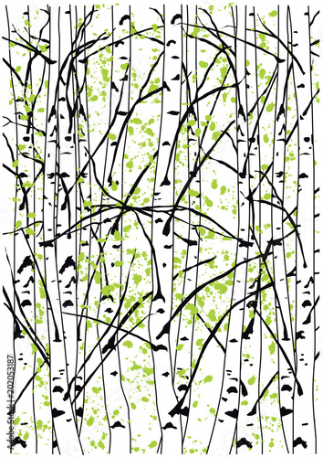 Beautiful sping birch tree forest. Simple vector illustration of spring birch trees.