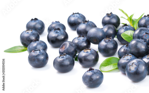 Blueberries isolated on white