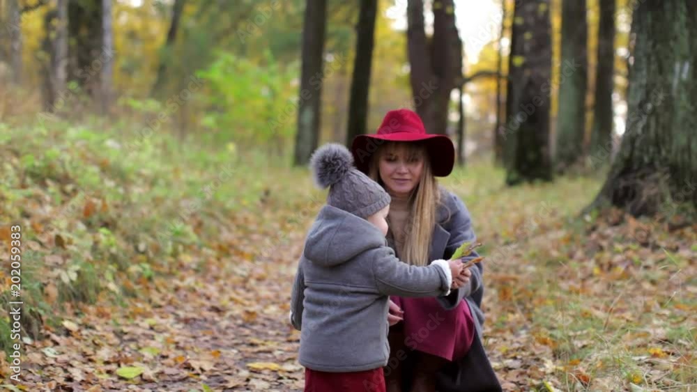 fashionable mom and daughter collect autumn leaves fashionable mom and daughter collect autumn leaves