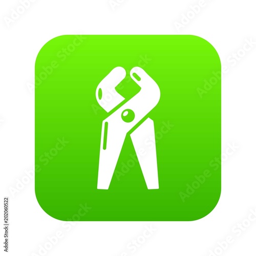 Dentistry tool professional icon green vector isolated on white background