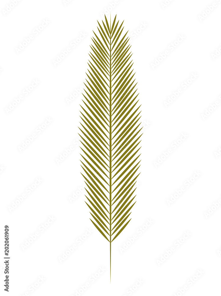 leaf palm isolated icon vector illustration design