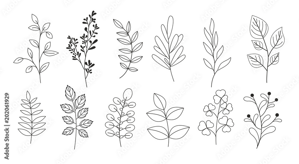 Plakat Wektor zestaw ilustracji gałęzi, liści, gałązek, traw ogrodowych w stylu linii dla kwiatowe wzory, bukiety i kompozycje w białym tle. Elementy do kart okolicznościowych.