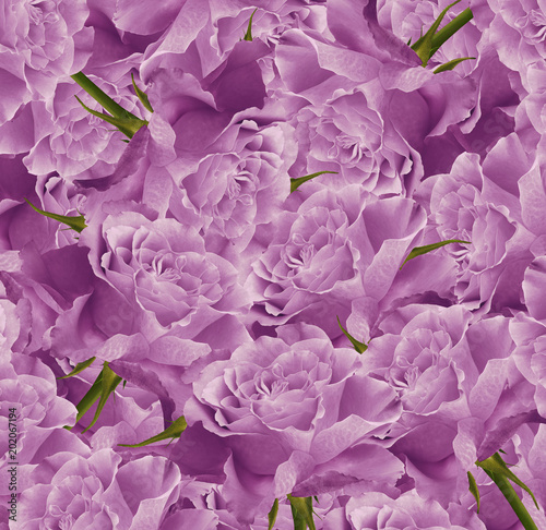 Wallpaper Mural Vintage floral   pink  beautiful background.  Flower composition. Bouquet of flowers from  light  pink  roses. Close-up. Nature. Torontodigital.ca