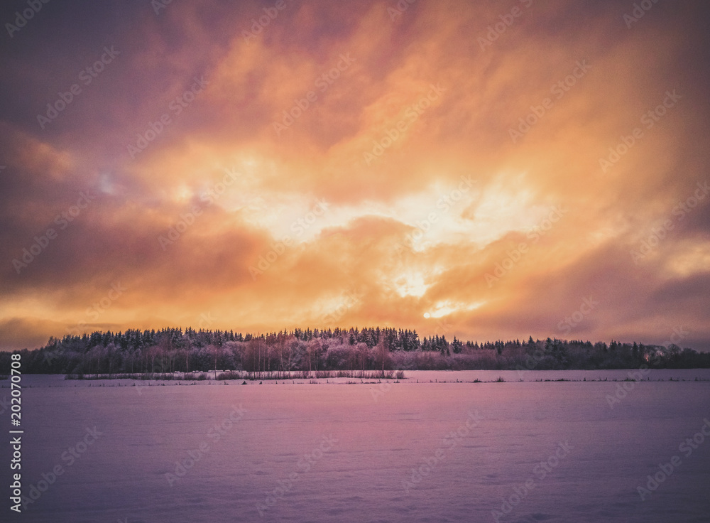 Calm Evening Photo with the Field and Forest with the Sunset in the Background - vintage look edit Calm Evening Photo with the Field and Forest with the Sunset in the Background - vintage look edit