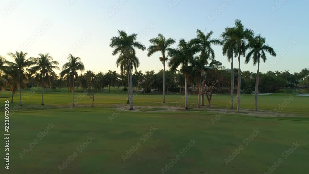 Aerial drone flying on a golf course between palm trees Aerial drone flying on a golf course between palm trees