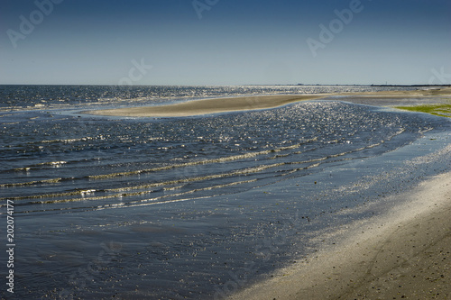 beach on the adriatic sea at the mouth of the river P  